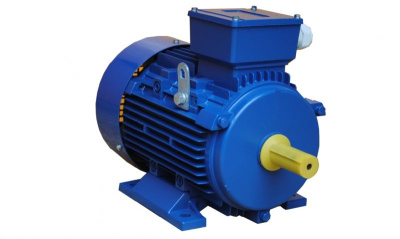 Электродвигатель 5А 50МВ2